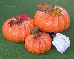 pumpkins pumpkins