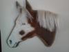 paint horse head