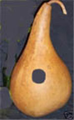 gourd birdhouse