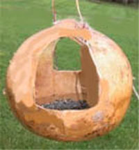 gourd bird feeder